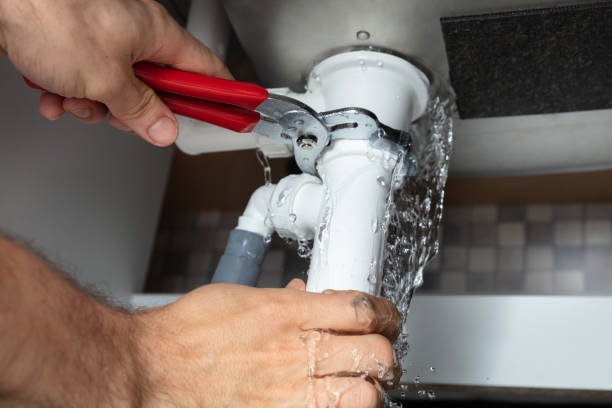 Best Basement water damage restoration  in Pima, AZ