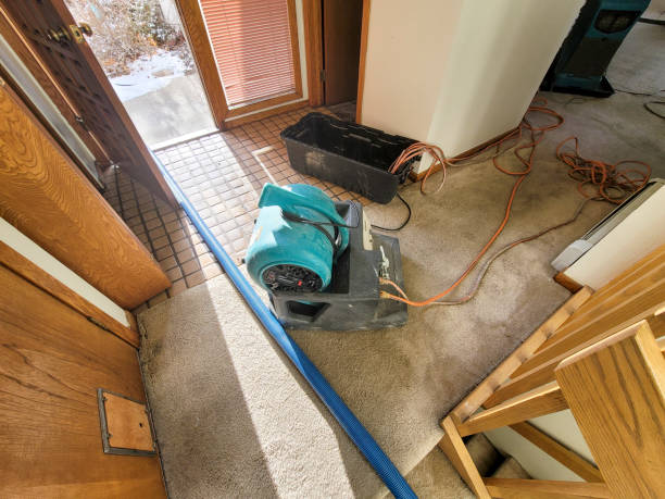 Best Carpet water damage restoration  in Pima, AZ
