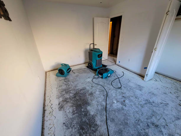 Best Professional water damage repair  in Pima, AZ