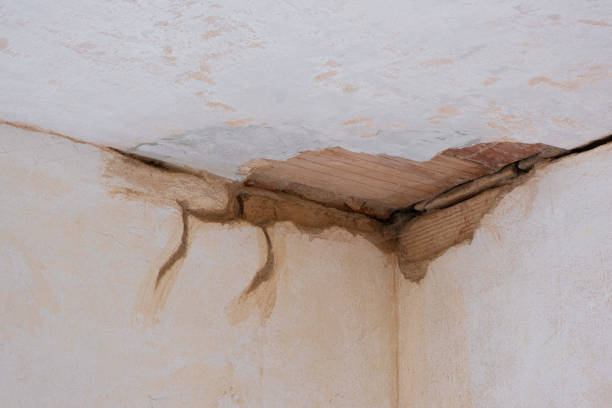 Best Basement water damage restoration  in Pima, AZ