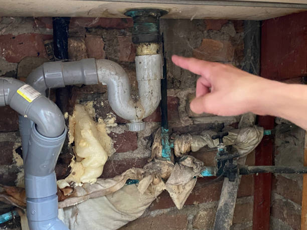 Best Water damage restoration insurance claims  in Pima, AZ